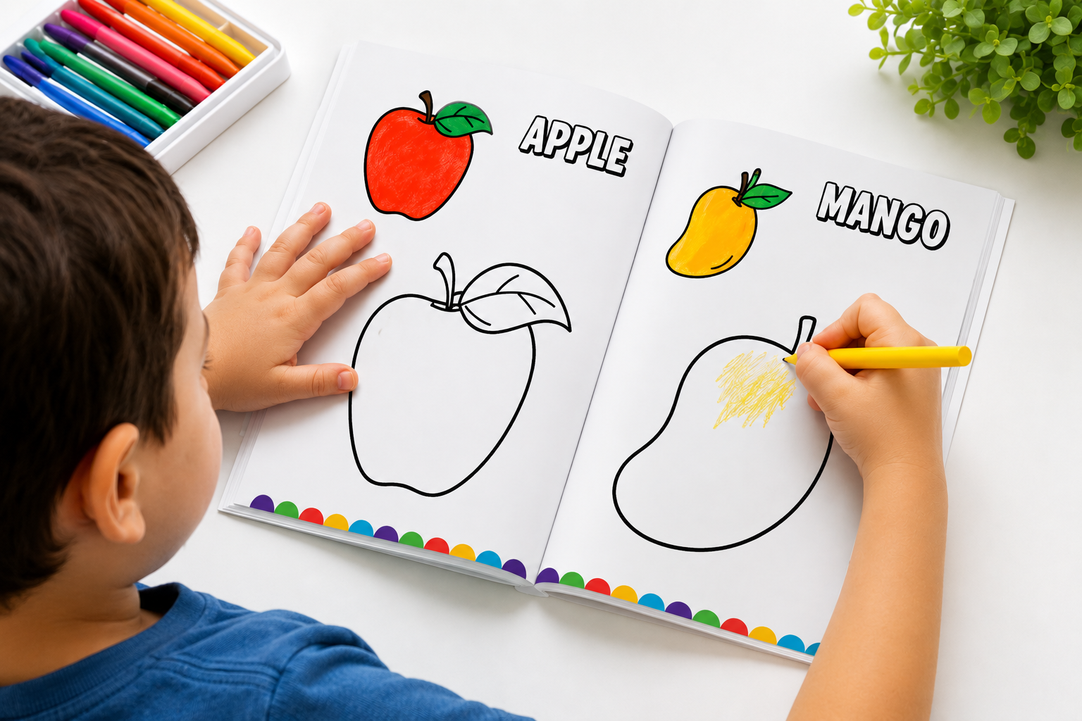 Creative Colouring Explorers – 6 Book Set (Shapes, Vegetables, Fruits, Birds, Transport, Animals)