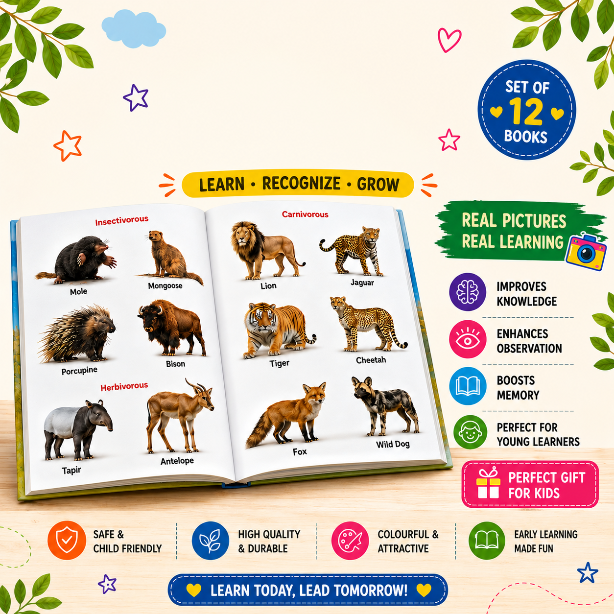 My First Book – Set of 12 Early Learning Books for Kids