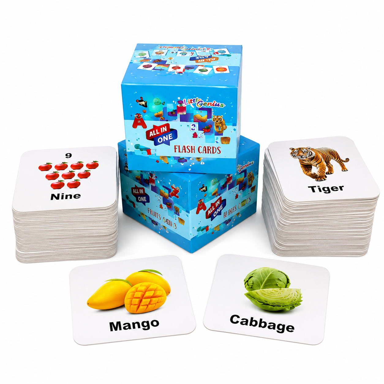 Little Genius All-in-One Flash Cards for Kids