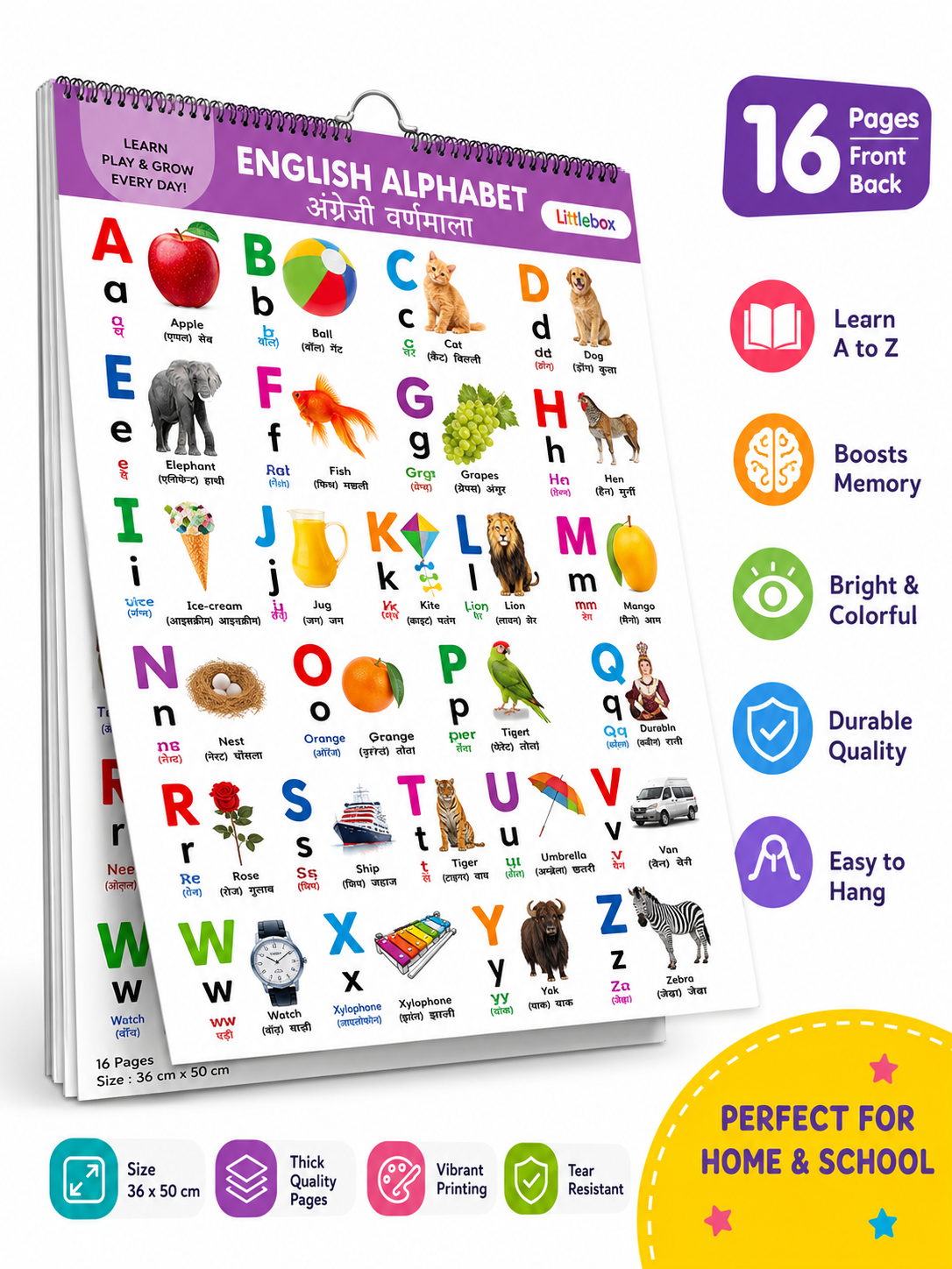 16 in 1 English-Hindi Learning Wall Chart | Spiral Book for Kids