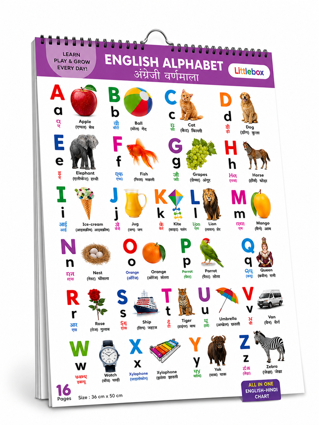 16 in 1 English-Hindi Learning Wall Chart | Spiral Book for Kids